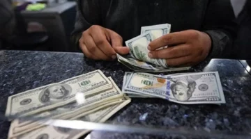 تحديث سعر الدولار مقابل الجنيه اليوم الثلاثاء 14 أكتوبر 2025 وتأثيره على الأسواق المحلية